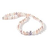 Tara Pearls Tara Pearls 7 7.5mm Multicolored Cultured Freshwater Pearl