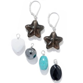 Jewelry Earrings Drop 5 piece Interchangeable Sterling Silver