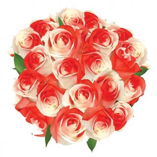 The Ultimate Rose Ultimate Rose Two Dozen Fresh Cut Sweetheart Roses