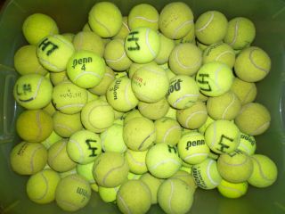 100+ USED TENNIS BALLS FOR DOG TOYS CHAIR LEGS CLASSROOM DESKS ~ FAST