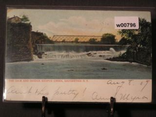Saugerties, NY Dam, Bridge Esopus Creek #w00796
