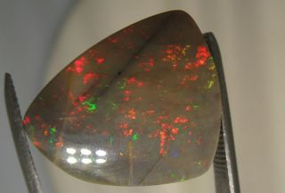 opals are shown dry and 100 % natural pictures and videos are made