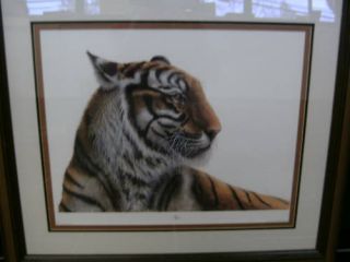 Farnsworth Bengal Tiger 1975 Signed with Letter and Framed