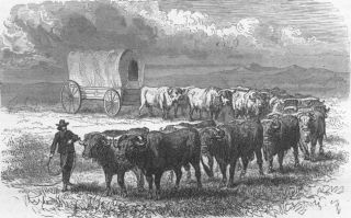 USA Prairie Schooner Emigrant Wagon Plains Print 1880