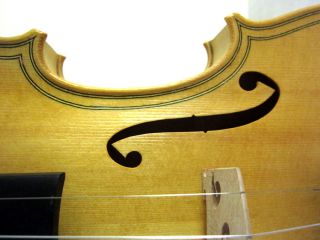  Salo Concert Violin 2232 Engelman Spruce  Platinum Seller