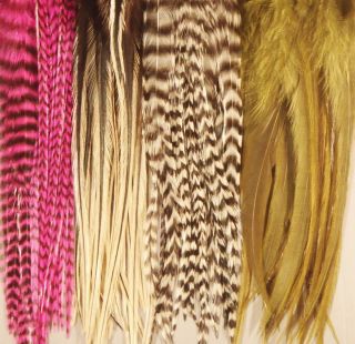  Feather Hair Extension Clip♥ 7Whiting Grizzly Rooster Feathers