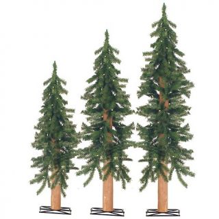 206 914 winter lane 3 4 and 5 ft pre lit alpine christmas tree set