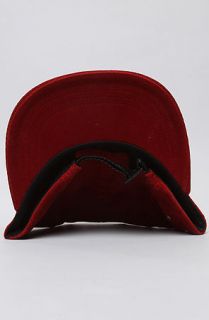 Ampal Creative The Stay Weird Camp Cap in Maroon