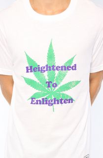 Kill Brand HEIGHTENED TO ENLIGHTEN SOFT TEE