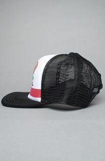 Vans The 18 Wheeler Trucker Cap in California Graphic