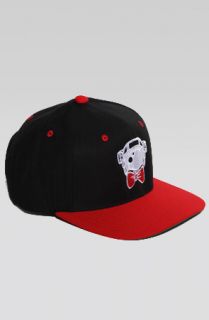 Nerdy Fresh The Sir Astro Snapback Concrete