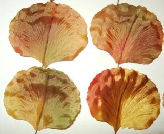 Vintage Millinery Flower Fall Leaves Peach Yellow Green Rust Trim