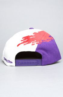 Mitchell & Ness The Toronto Raptors Paintbrush Snapback Hat in Purple