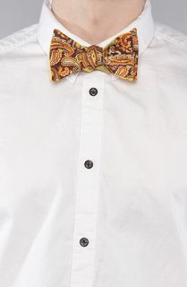CottonTreats The Jeremiah Reversible Bow Tie in Mustard  Karmaloop