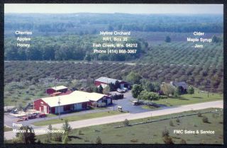 Old Fish Creek Hyline Orchard Door County Wi Postcard