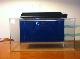 15 Gallon Seaclear Aquarium Fish Tank Accessories