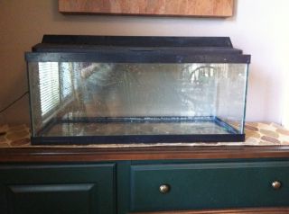  20 Gallon Fish Tank with Hood and Light