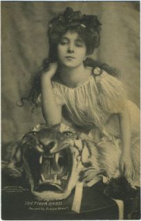 Evelyn Nesbit RARE Erotic Tiger Head 1902 RPPC Postcard Red Velvet
