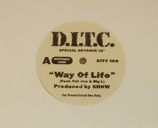 DITC Way of Life Big L Fat Joe Showbiz 12 Hip Hop Vinyl