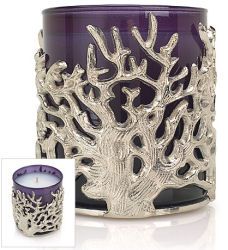 Crabtree Evelyn India Hicks Island Night Scented Candle