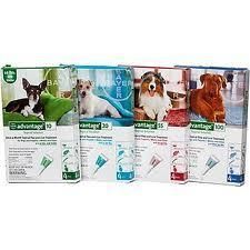 Advantage Flea Medicine Ticks for Dogs & Puppies up to 20 months dose