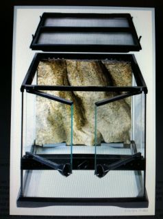 Exo Terra Glass Terrarium 12in x 12in x 12in pt 2600 reptile cage tank