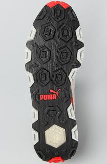 Puma The Trinomic Trail Lo Sneaker in Dark Shadow Grey Violet Black