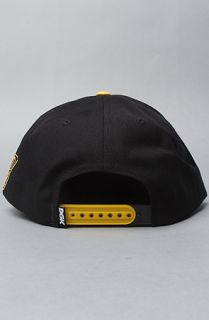 DGK The DGK Cold as Ice Snapback Hat in Black