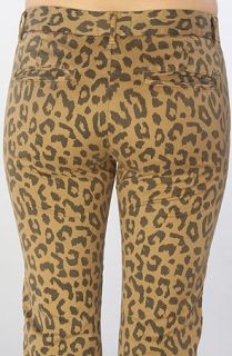Obey The Hamptons Rollers Pant in Leopard
