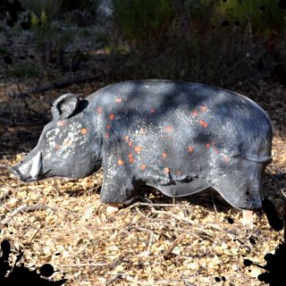 NEW Tactical Mutilating Feral Hog Life Size Animal Hunting Shooting