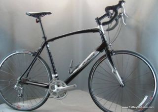 2010 Specialized Secteur Sport Road Bike 61cm XXL Minty