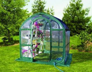 Portable Greenhouse Flowerhouse Springhouse Clear 6 Ft