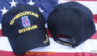 10th Mountain Infantry Division Hat Fort Drum US Army