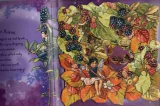 Hidden Flower Fairies Book Cicely Mary Barker Fairy Pop Up Book for