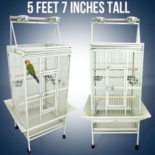 Large White Parrot Cage Bird Cockatiel Parakeet Finch Playtop Gym