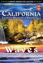 Relax Now CALIFORNIA WILDLIFE WATERFALLS WAVES DVD 1 Relaxation Ocean