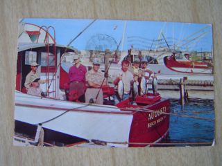 1955 Beach Haven NJ Long Beach Island Tuna Fishing Augusta Boats Fish