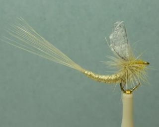 12 Artflies Extended Body Dry Flies Light Cahill 18 PN1625
