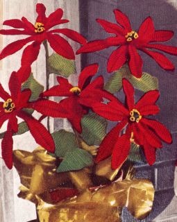 Vintage Crochet Pattern Christmas Poinsettias Flowers