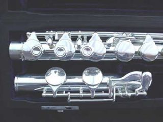  Series II Silver plated Alto Flute List Price $3,640.00 & Selmer kit