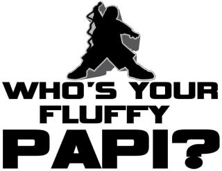 Gabriel Iglesias Whos Your Fluffy Papi T Shirt Funny Humor Comedian