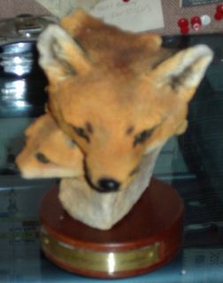 Fox Head Statue from Dennis Franzen Collection Damaged