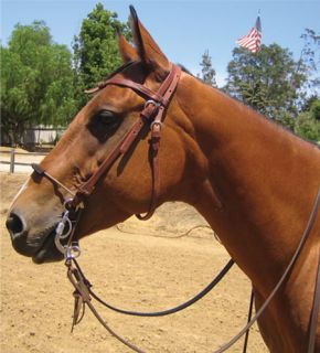  gaits consistently without over bitting resulting in a smoother ride