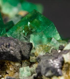  Fluorite Sharpcubic Crystals w Galena Rogerley Mine UK for Sal
