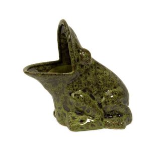 Salerio Ceramic Frog Planter w Open Mouth for Planting Your Favorite
