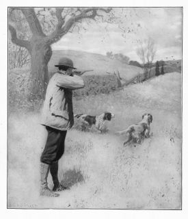 hunting by a b frost on the wing dogs pointer hunt