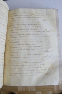 Vellum Manuscript of Royal Notarial Acts