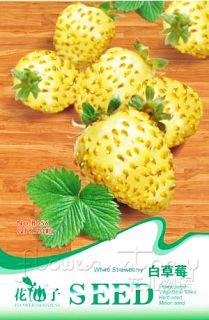 Pack 20 Fruit Seeds White Strawberry Delicious Rare Fruit Seed HOT