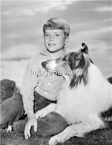 Lassie 1962 The Collie Dog and John Provost TV Show 4 x 6 Publicity