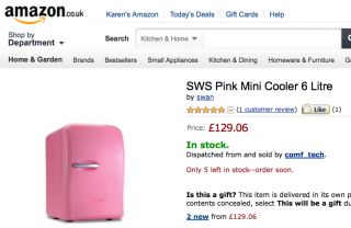SWS Smeg Style Pink Mini Portable Fridge Cooler Warmer Great 4 Camping